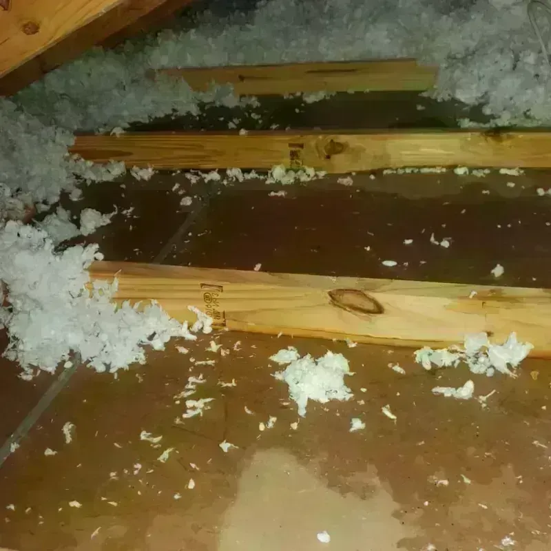 Attic Water Damage in Strasburg, CO