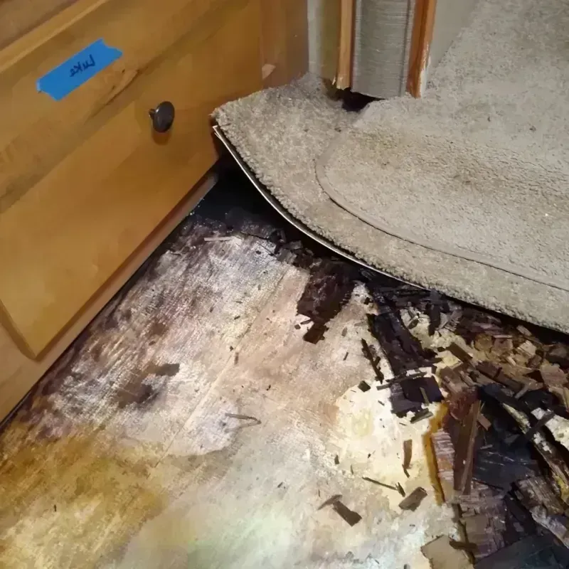 Wood Floor Water Damage in Strasburg, CO